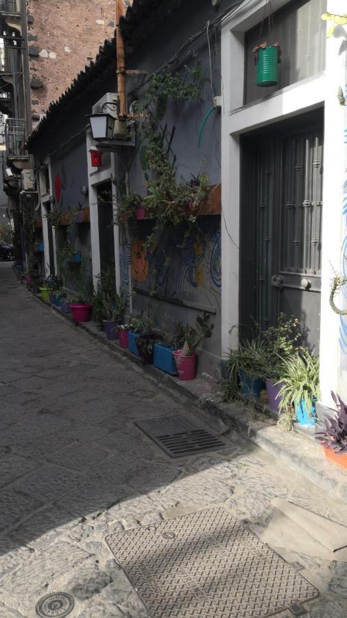 San Berillo House Apartment